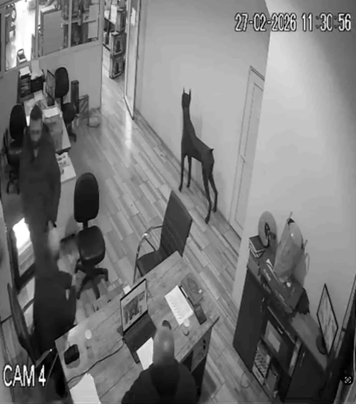 Bursa\'da Kolanya Şakası Faciası