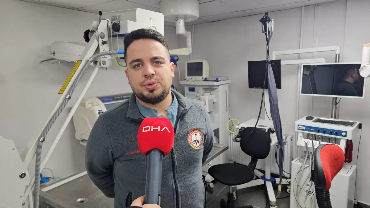 Zonguldak\'ta Kanserli Köpek Tedavi Edildi