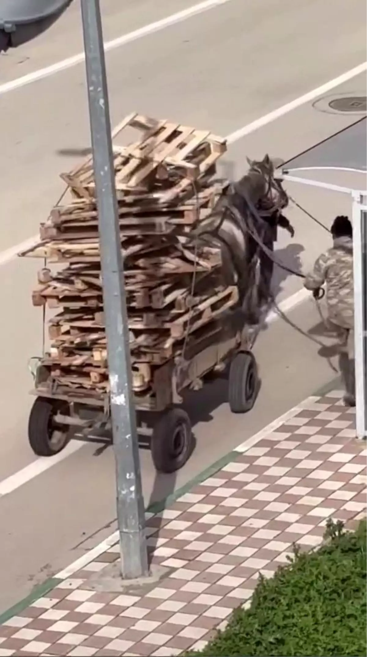 Karacabey\'de Atın Aşırı Yükü Tepki Topladı