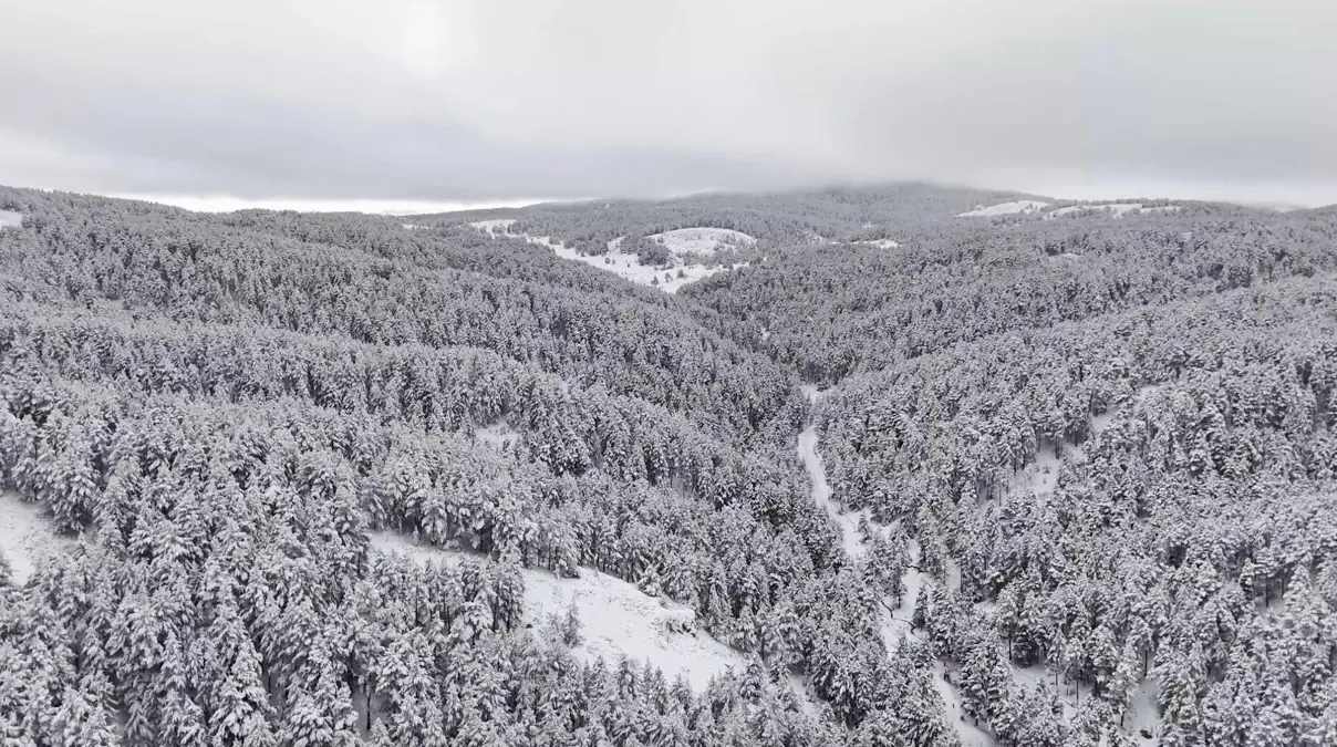 Dumanlı Tabiat Parkı Kış Güzellikleriyle Büyülüyor