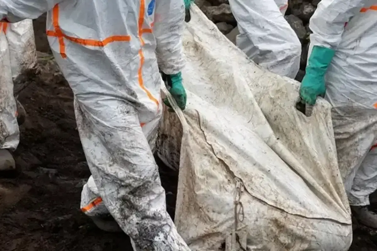 Nijerya\'da 105 ceset bulundu