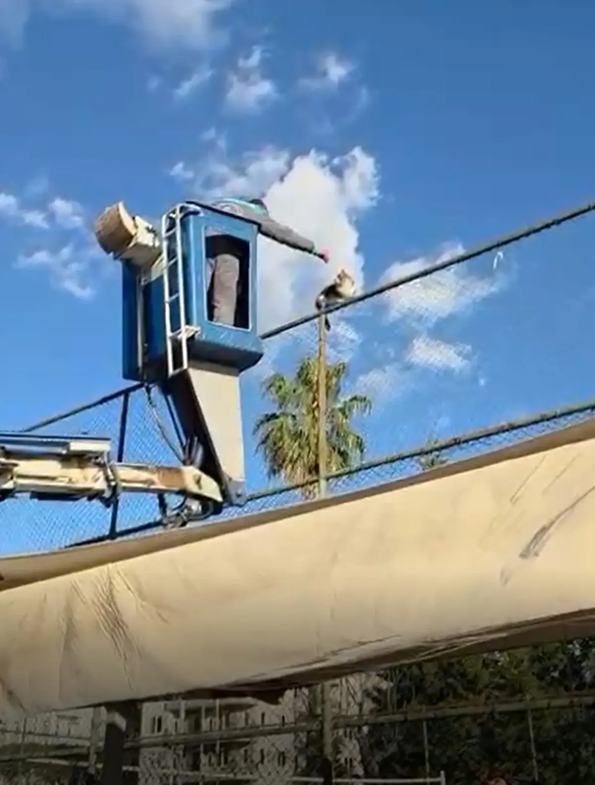 Tel Çitte Mahsur Kalan Kedi Kurtarıldı