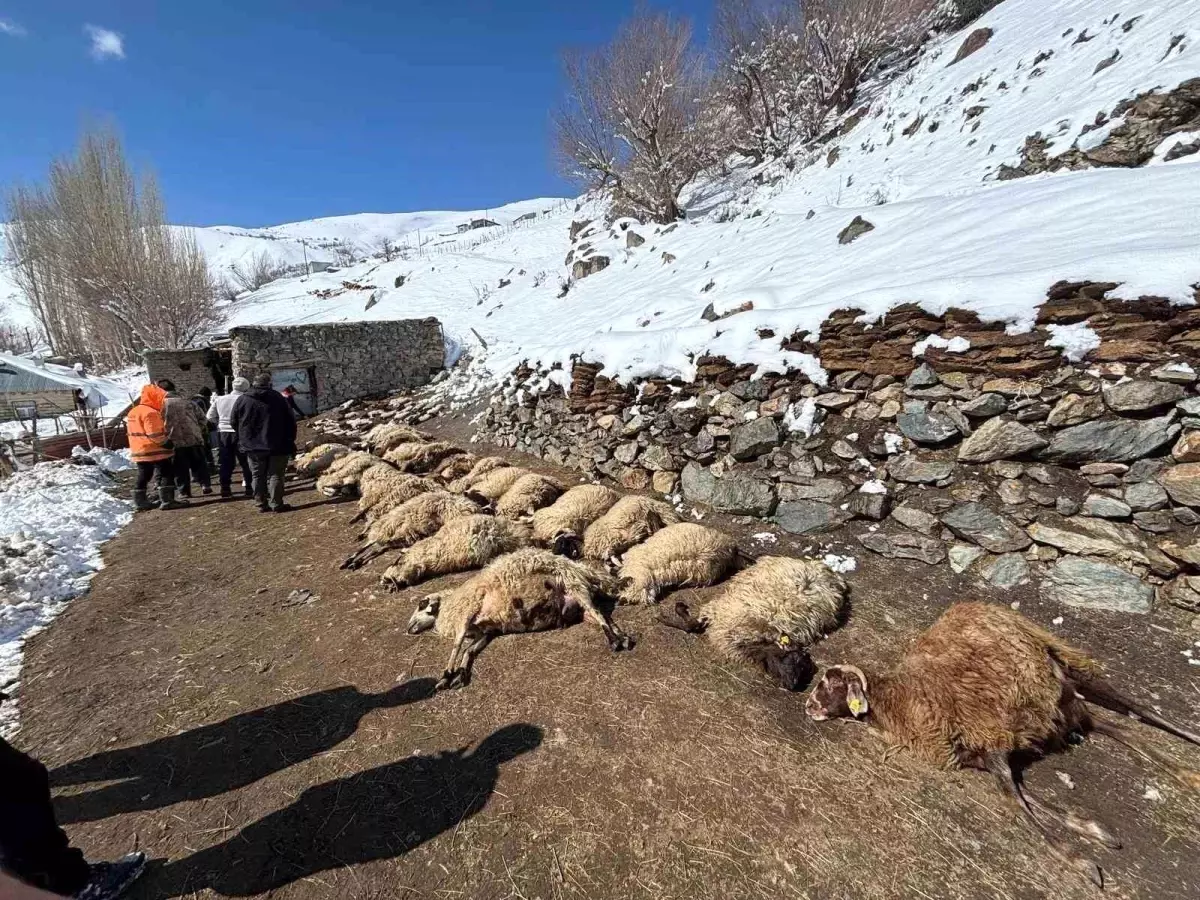 Başkale\'de Ahır Yangını: 68 Hayvan Telef Oldu