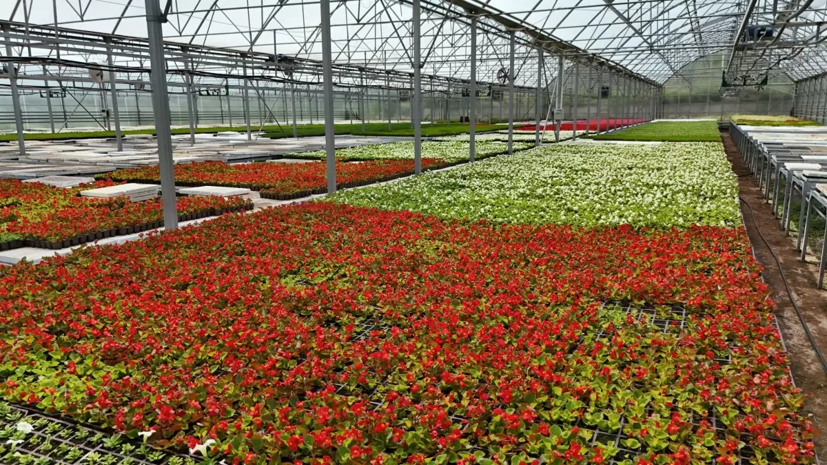 Samsun\'da Atık Yönetimi ve Enerji Üretimi