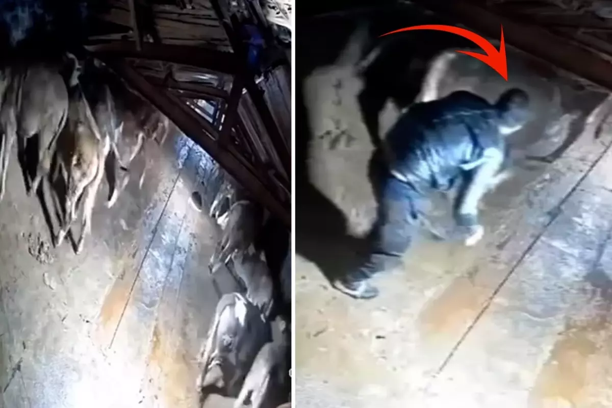 Dehşete düşüren görüntü Kars\'tan: Besici zamanında yetişemese yanmıştı