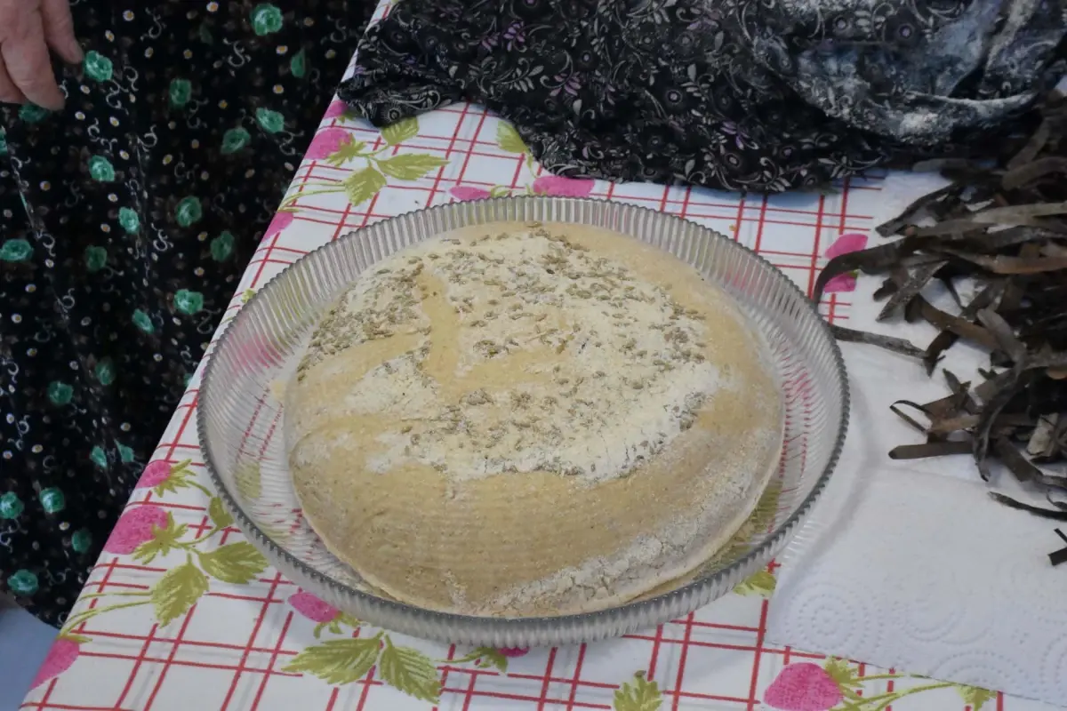 Deniz Çayırı Tohumları ile Umut Projesi