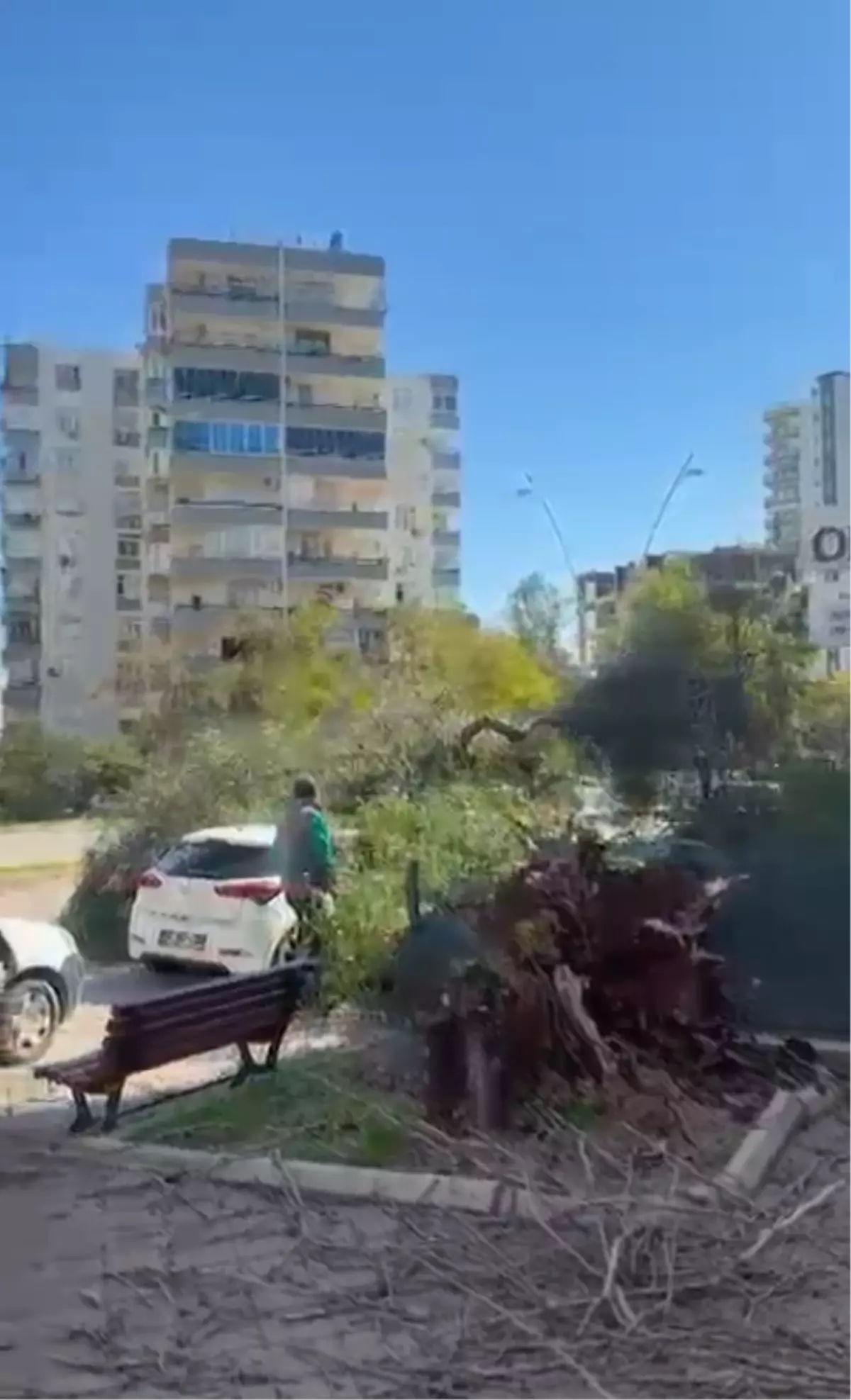 Adana\'da Şiddetli Rüzgar Ağaçları Devirip Çatılar Uçurdu