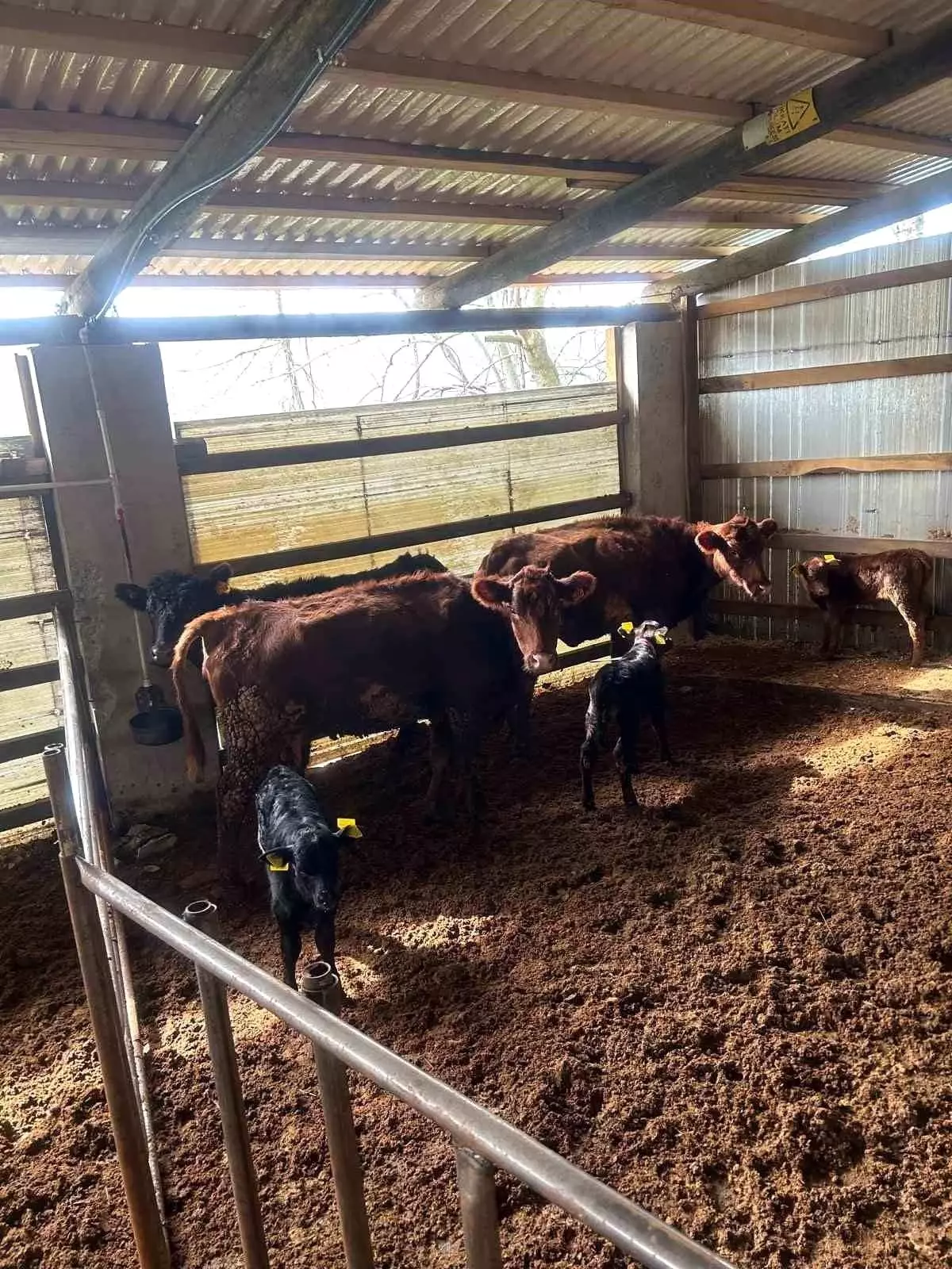 Kırsalda Bereket Projesi\'nde Gelişmeler