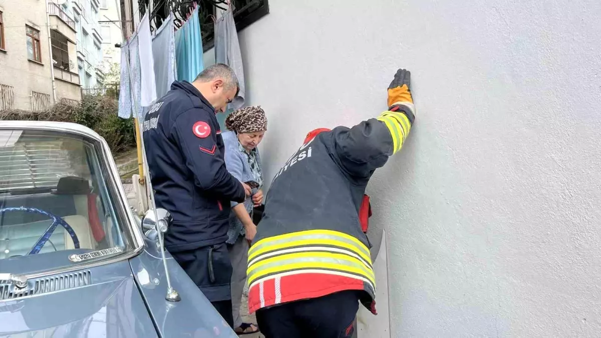 Ordu\'da bodrum kattaki kedi sesi ekipleri harekete geçirdi
