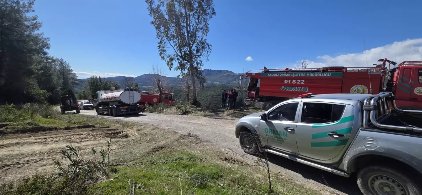 Osmaniye\'de Orman Yangını Kontrol Altına Alındı