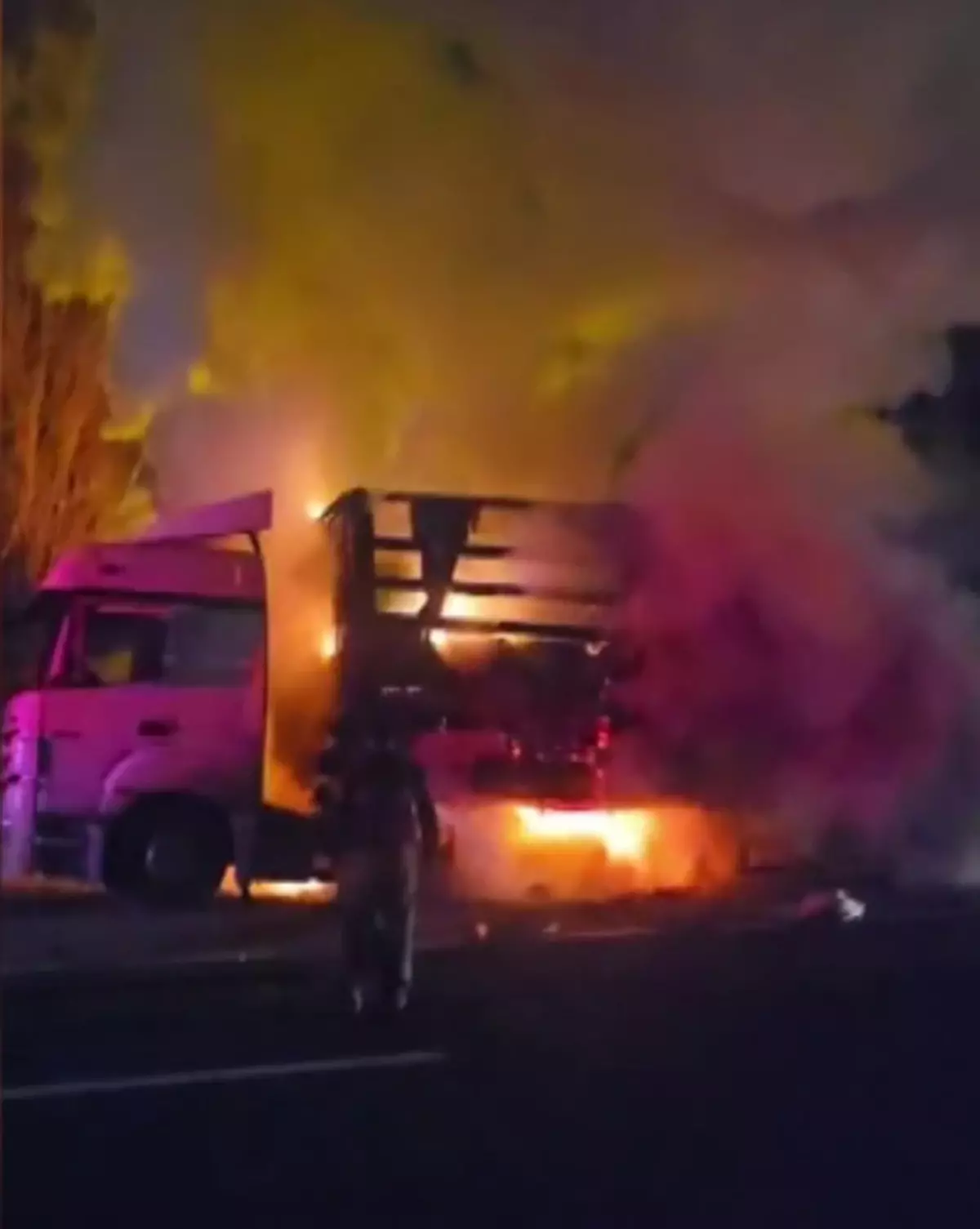 Horasan\'da Pamuk Yüklü TIR Yangını