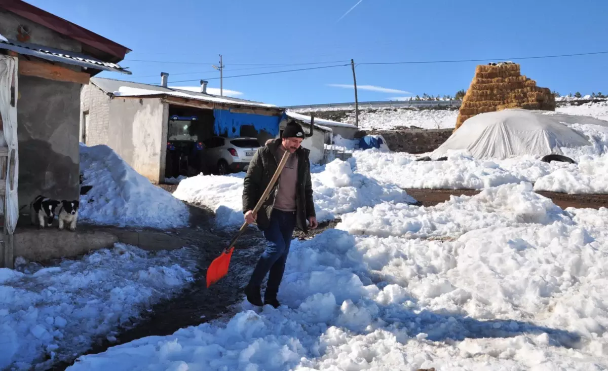 Kurtları Kürekle Kovaladı