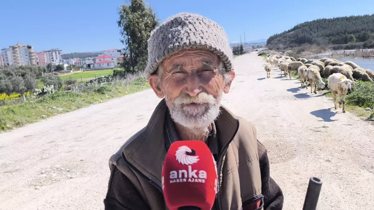 Ameliyatlı haliyle besicilik yapan Ömer amcanın sözleri yüreklere dokundu