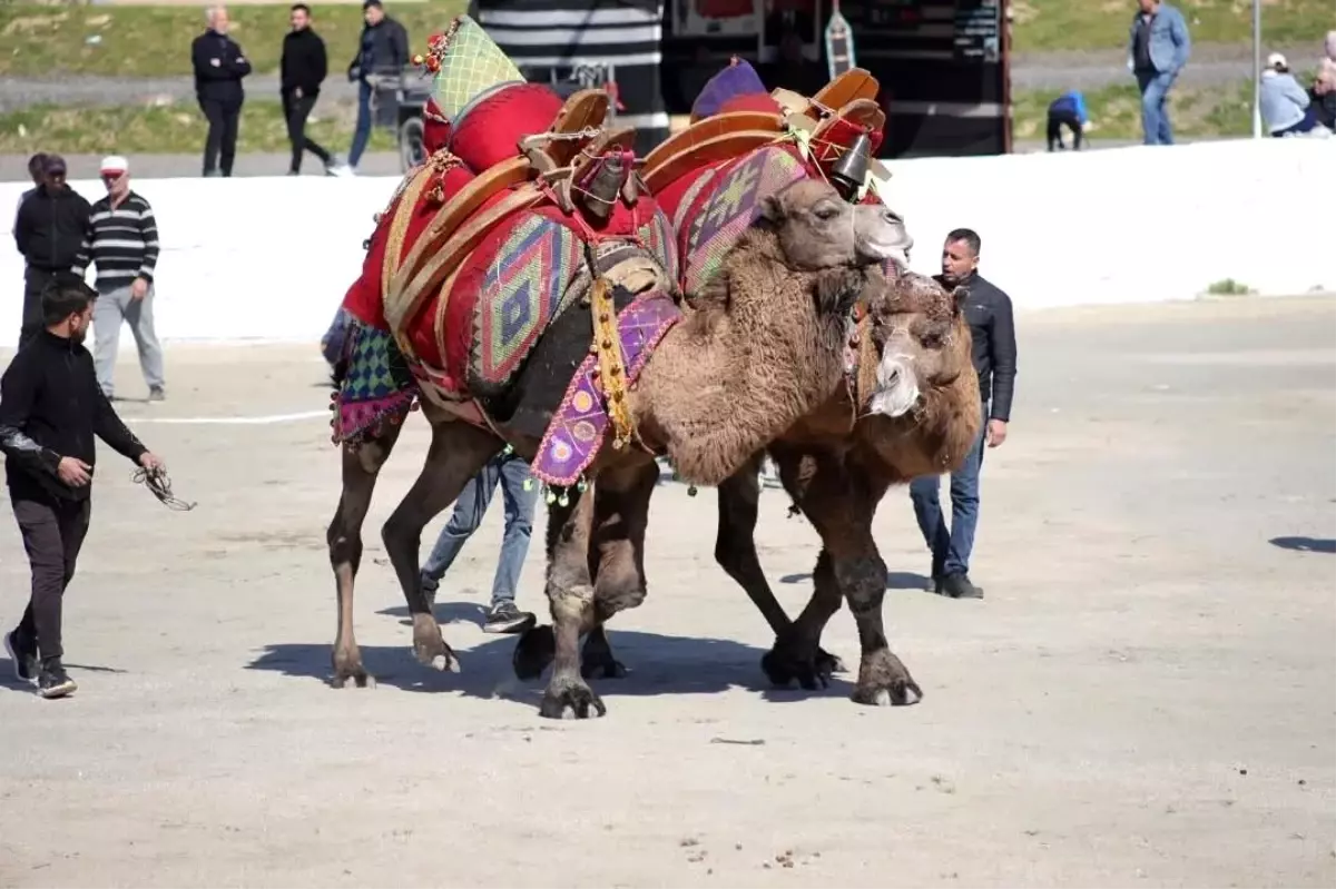 Başkan Kaya: "Bu yıl sezonun ilk güreşlerini yapmak bizlere nasip oldu"