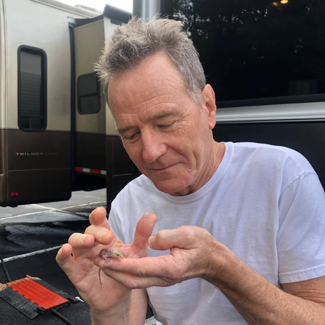 Breaking Bad dizisiyle tanınan Bryan Cranston'un son halini görmeniz lazım