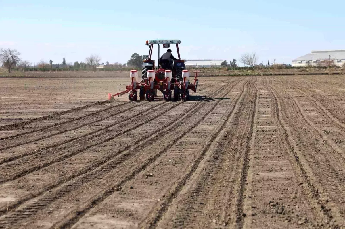 Çiftçiler Bereketli Sezon Bekliyor