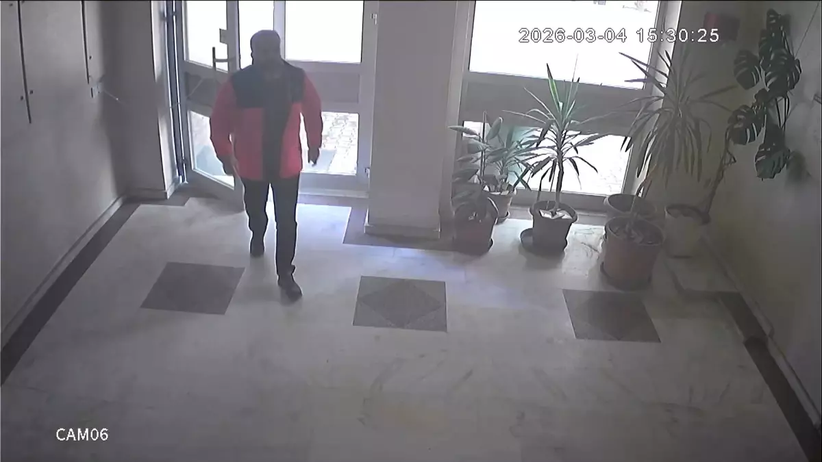 Biri mezarda diğeri ölümle pençeleşiyor: İşte Nagihan ve eski sevgilisinin son görüntüleri