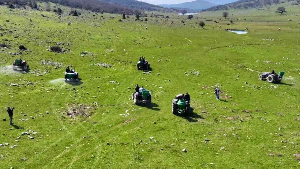 Manisa\'da meralara 8,5 tonluk bereket