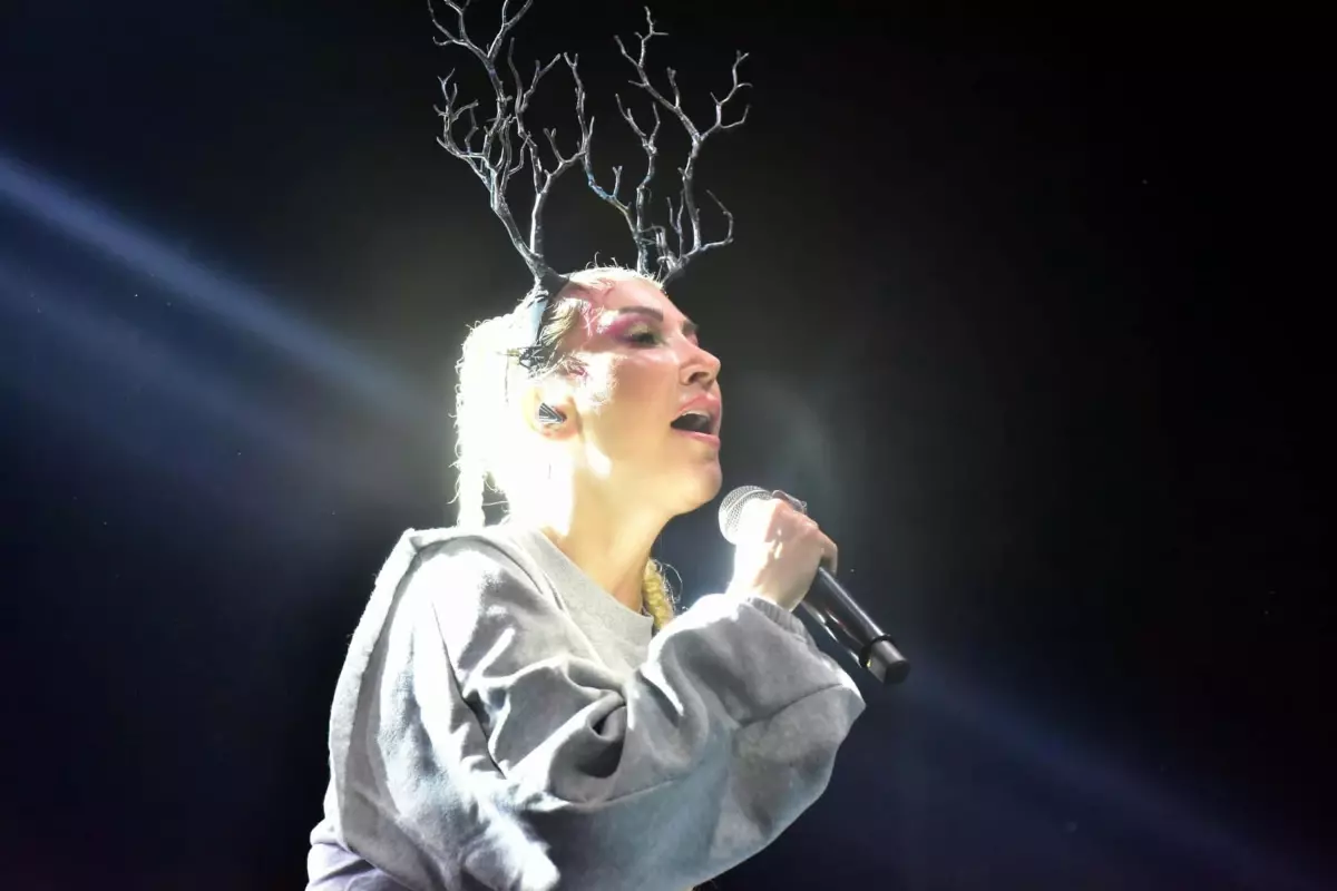 Hande Yener\'e Hakaret Soruşturması