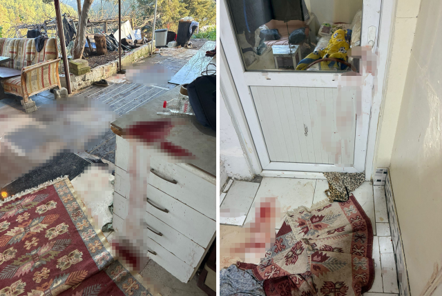 Almanya'dan cinayet işlemeye gelmiş! 3 kuruş için ablasını katletti