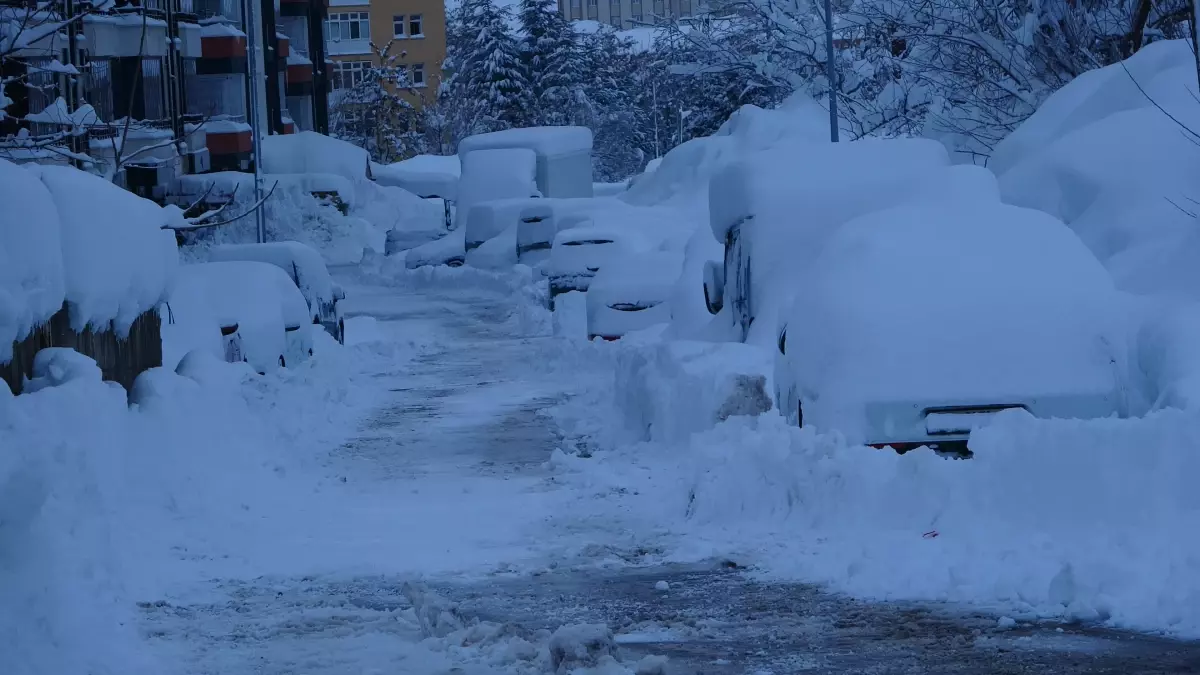 Bitlis’te Kar Yağışı Hayatı Olumsuz Etkiledi