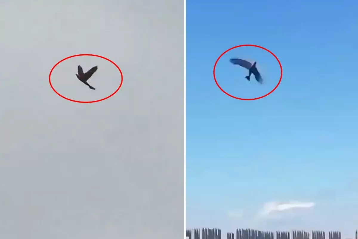 ABD\'nin kabusu olacak! Hepsiyle savaşmak zorunda kalabilirler