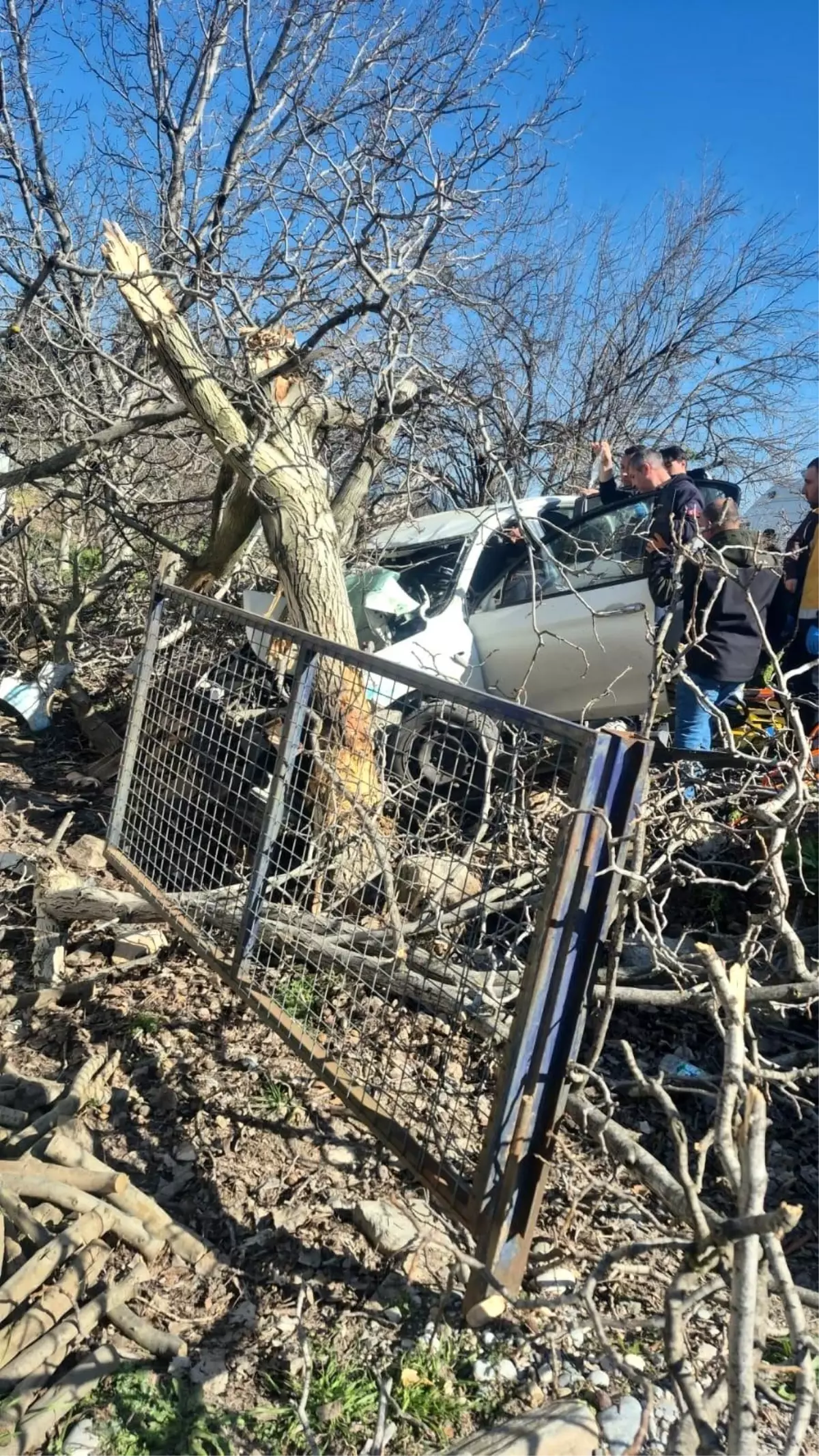 Aydın\'da Trafik Kazası: 2 Ölü, 1 Yaralı