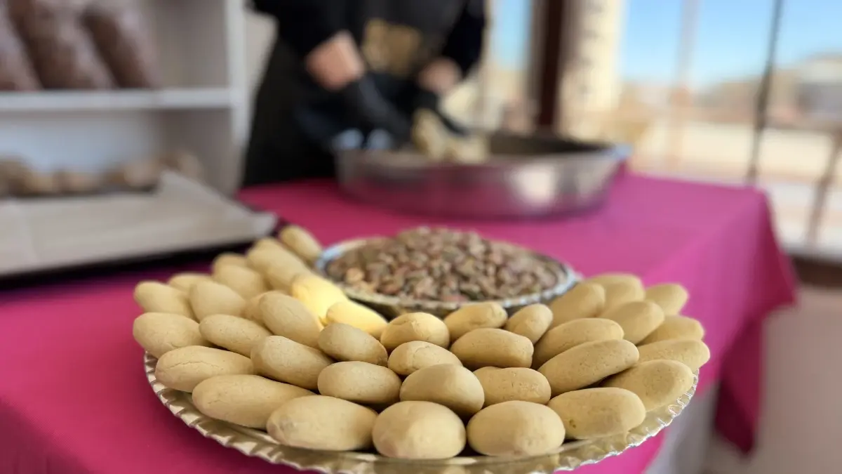 Kadınların Dayanışma Kooperatifi