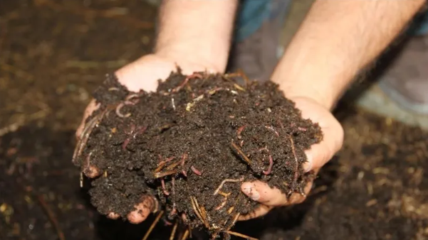Orta Doğu'daki savaş tarlayı vurdu! Küresel gıda krizi kapıda