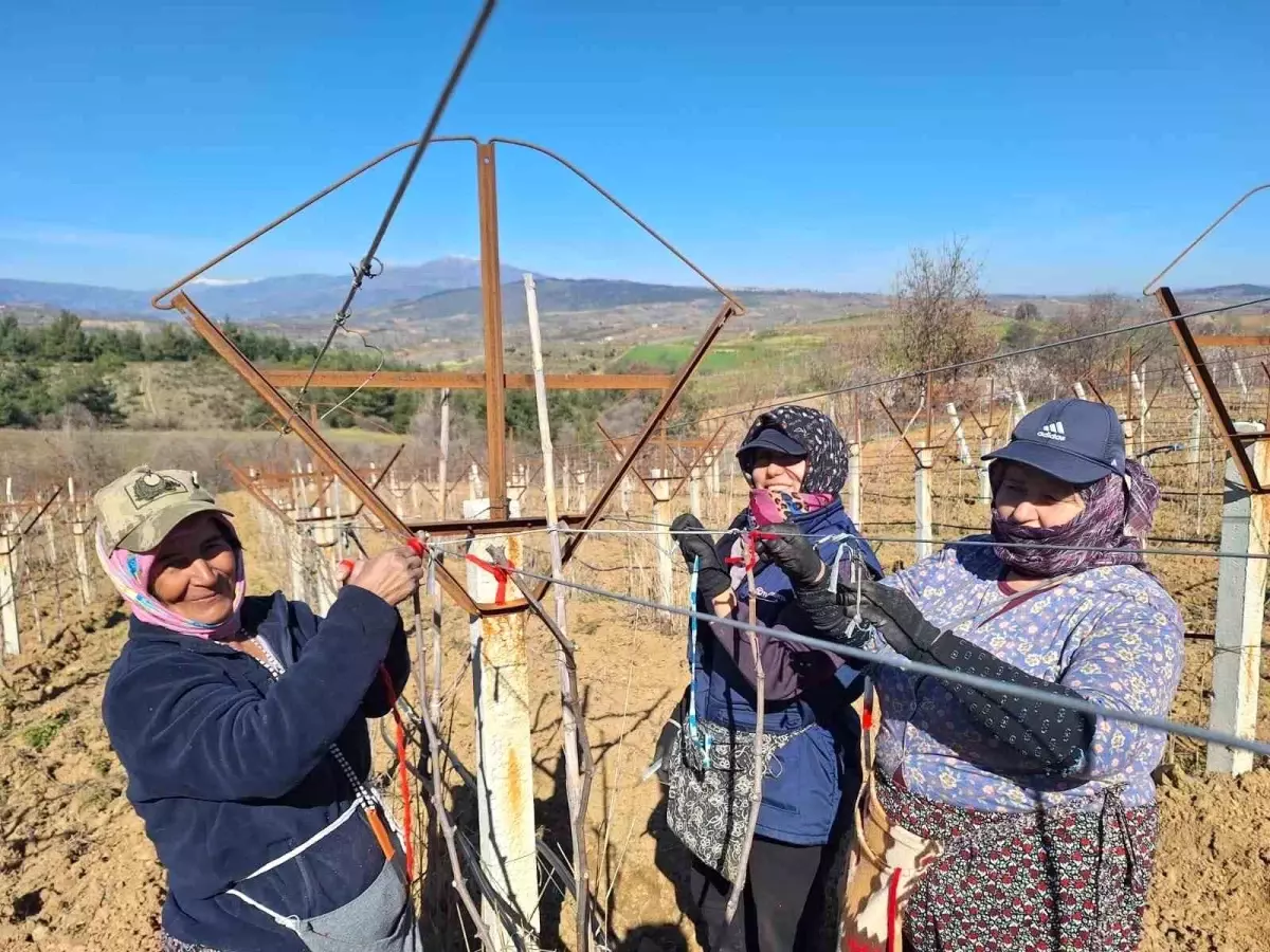 Kadın İşçiler, Dünya Kadınlar Günü’nü Üzüm Bağlarında Geçirdi