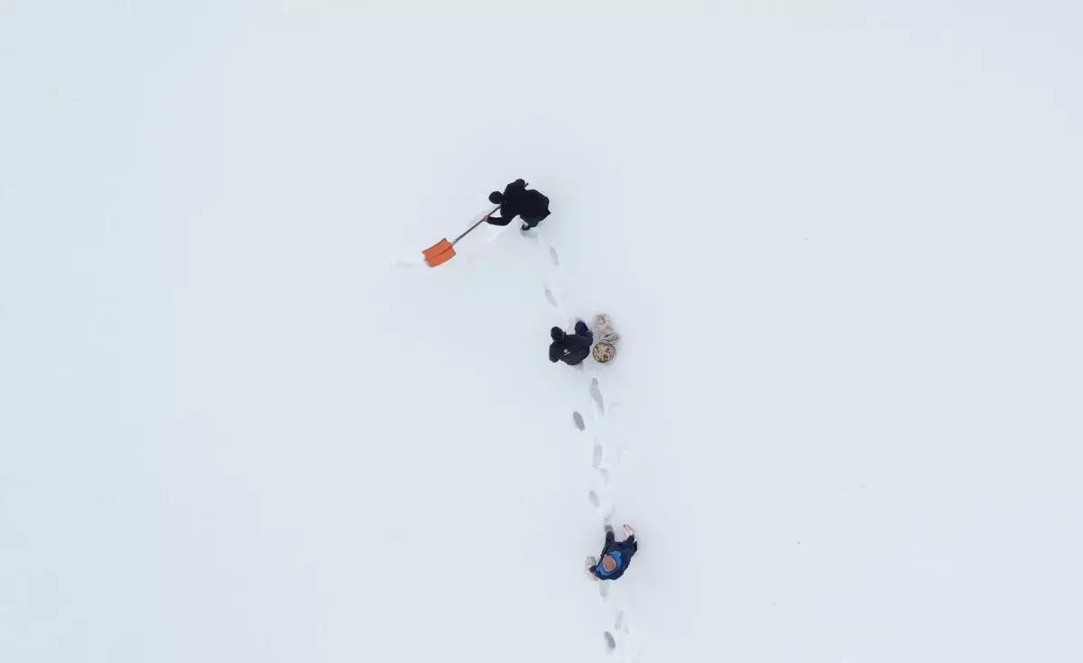 Erzurum\'da Kuşlara Yardım Eli