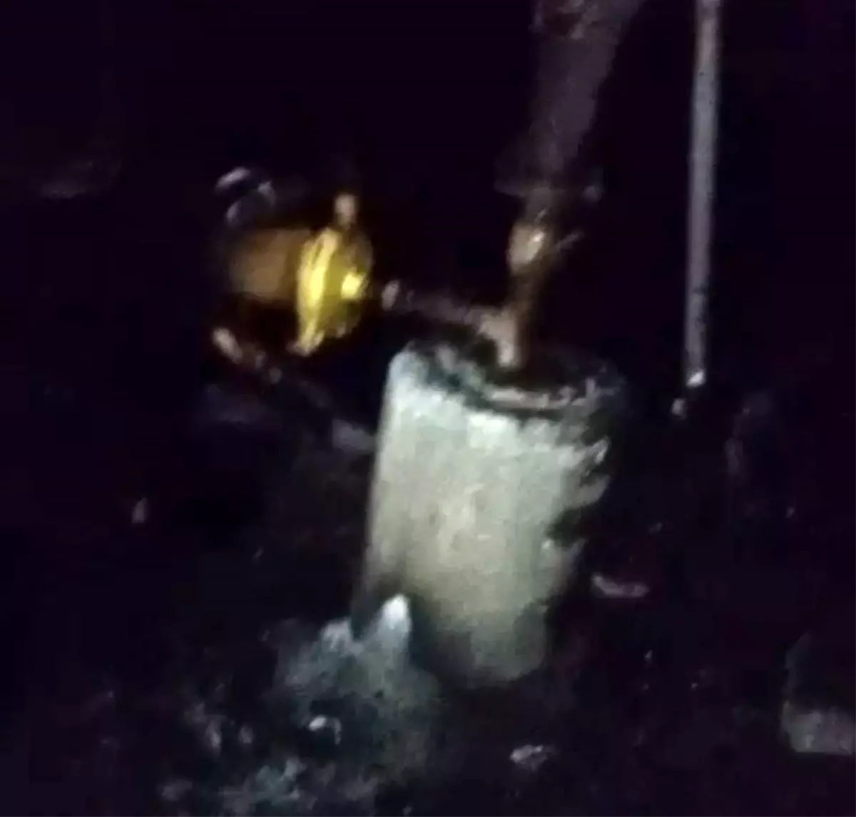 Ceyhan\'da Depo Yangını: 40 Güvercin Telef Oldu