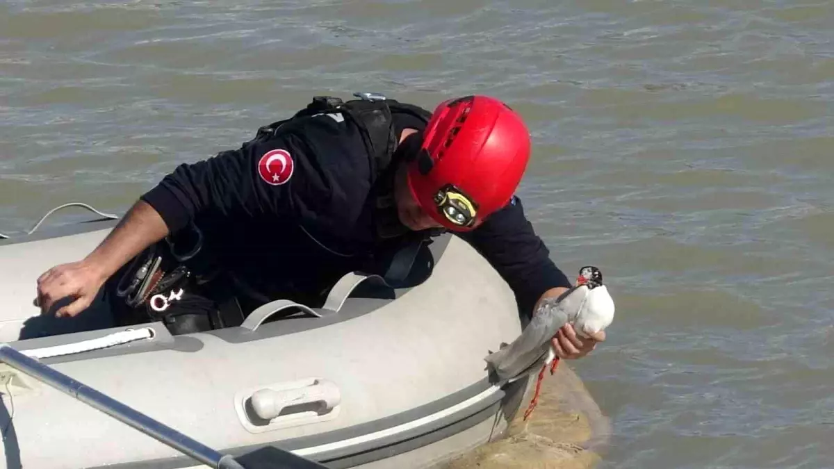 Antalya itfaiyesinden film gibi martı kurtarma operasyonu