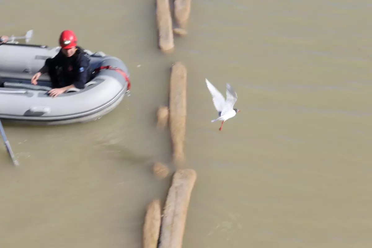 Misinaya Dolanan Martı Kurtarıldı