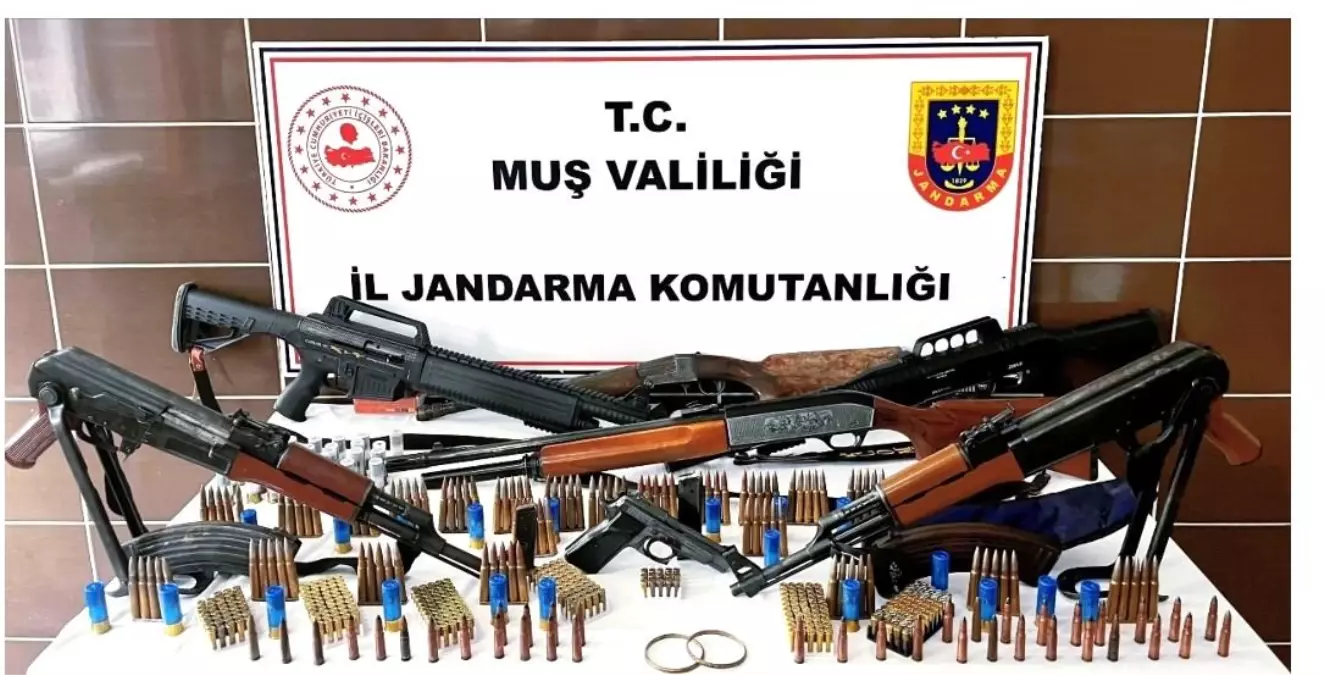 Muş\'ta Silah ve Tarihi Eser Operasyonu