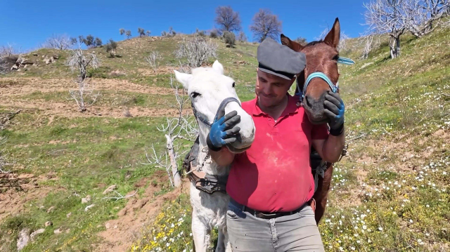 Aydın'da günlük 8 bin TL'ye at ile çift sürecek işçi bulunamıyor