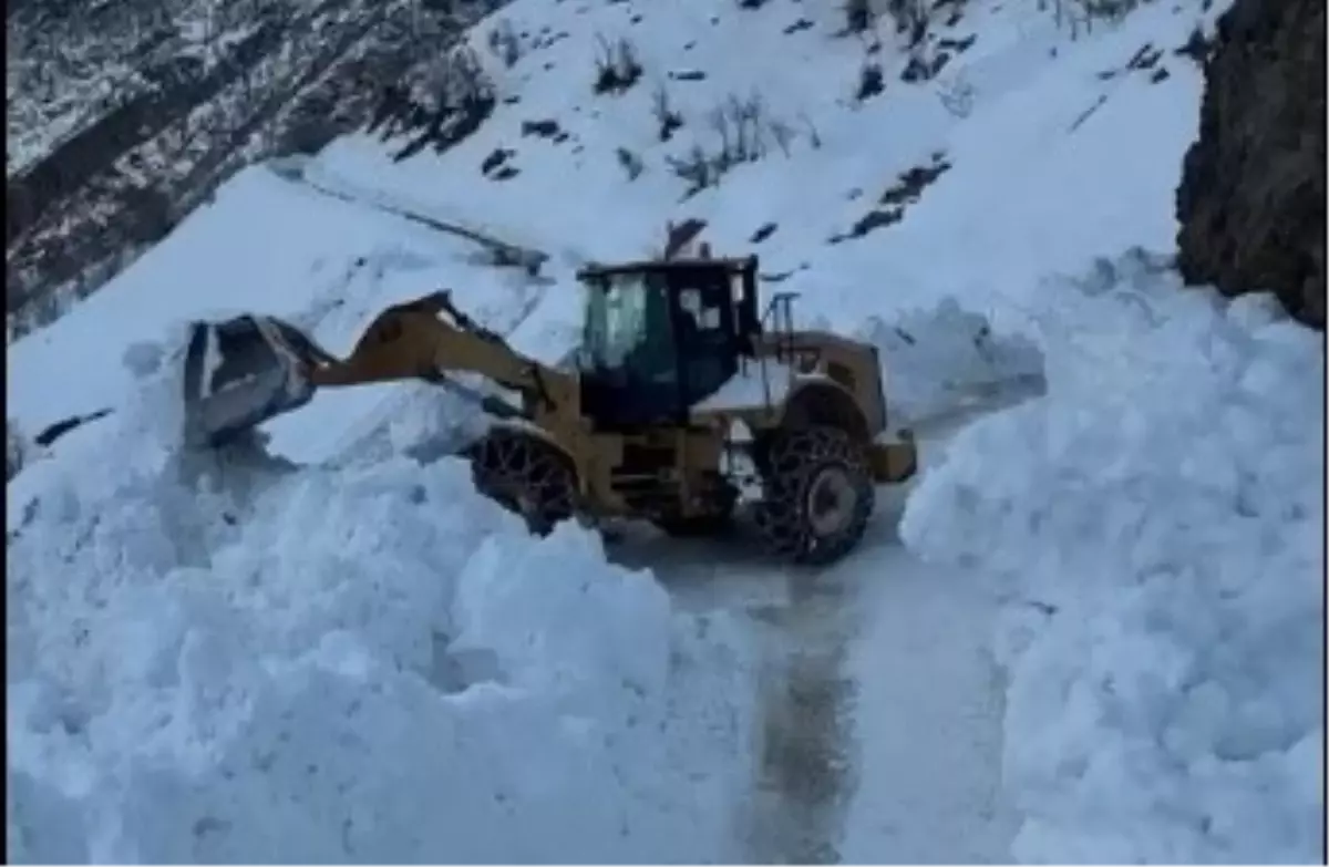 Bitlis\'te Çığ Düşmesi: Köy Yolu Kapandı