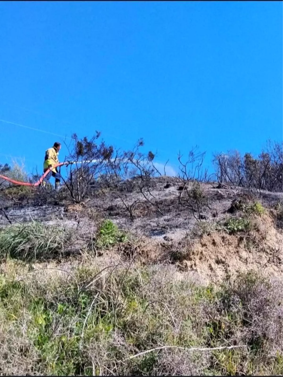 Defne\'de çıkan bahçe yangınından alevler yükseldi