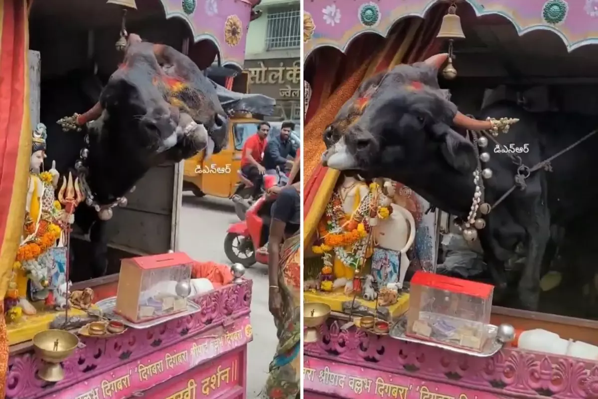 Genetik bozukluğu kazanç kapısı yaptı