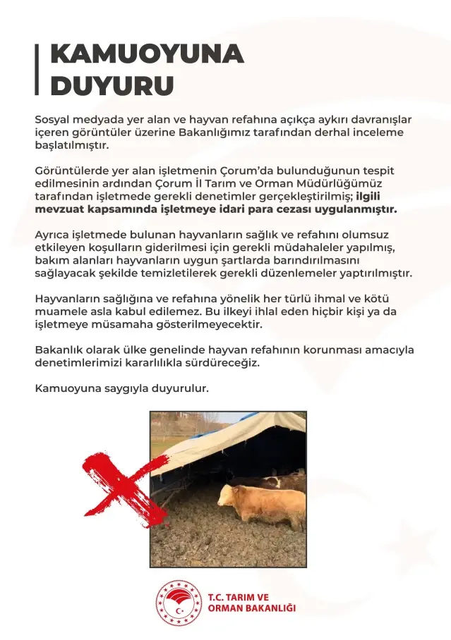 Çorum’daki Hayvanlara Kötü Muameleye Cezai İşlem