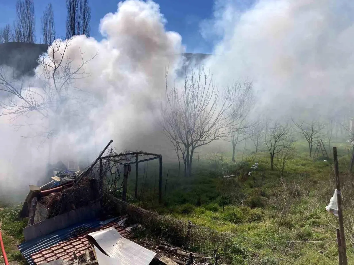 Bilecik\'te bağ evinde çıkan yangın korkuttu