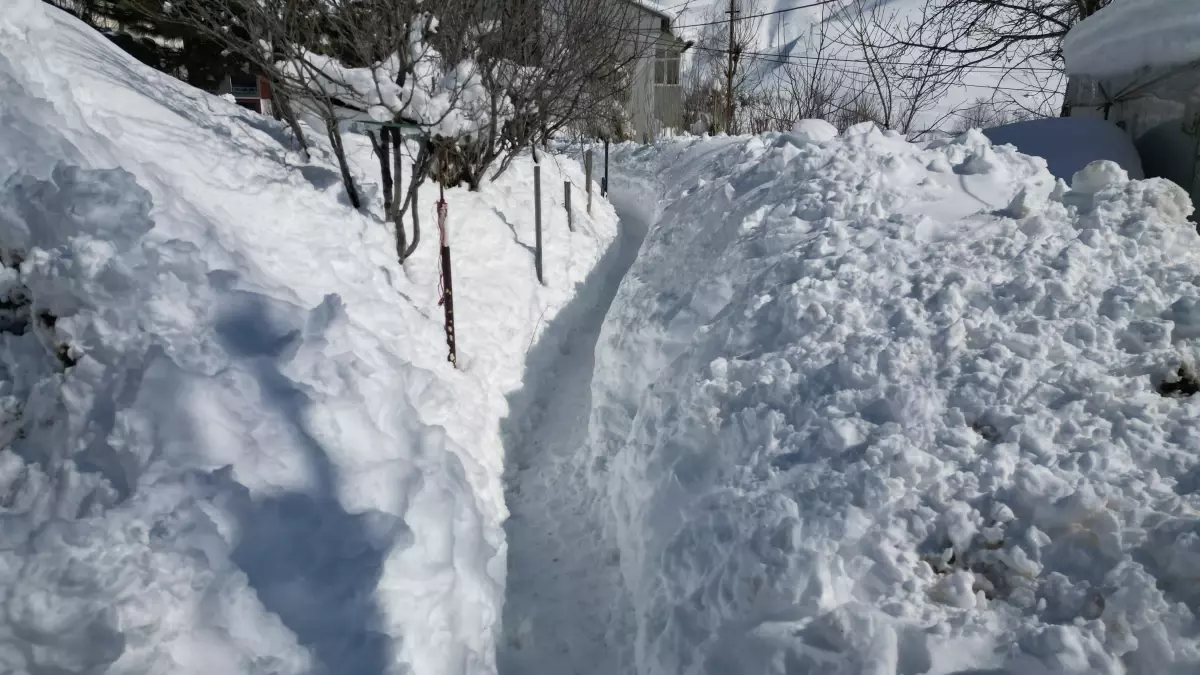 Bitlis\'te Kar Kalınlığı 2 Metreyi Aştı