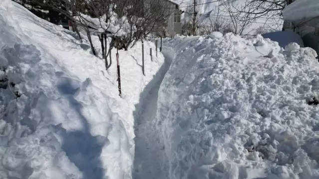 Bitlis’te Kar Kalınlığı 2 Metreyi Aştı