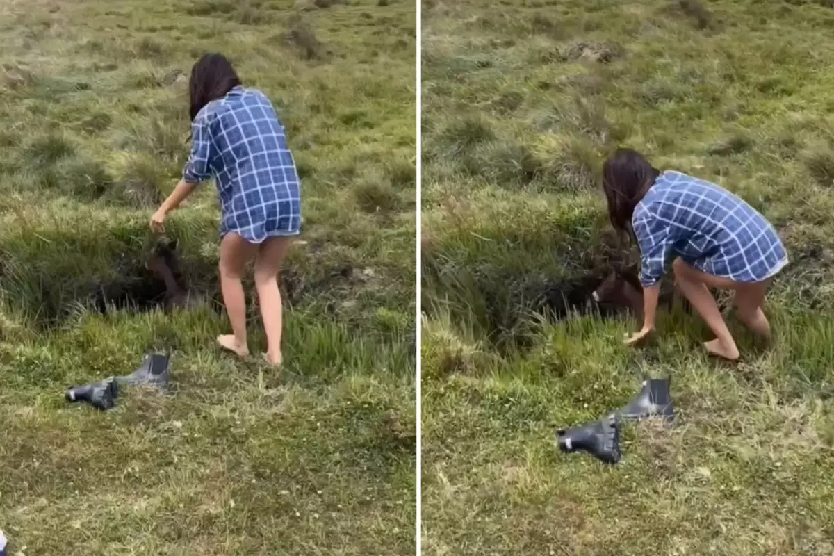 \'\'Dünyayı sevgi kurtaracak\'\' dedirten görüntü