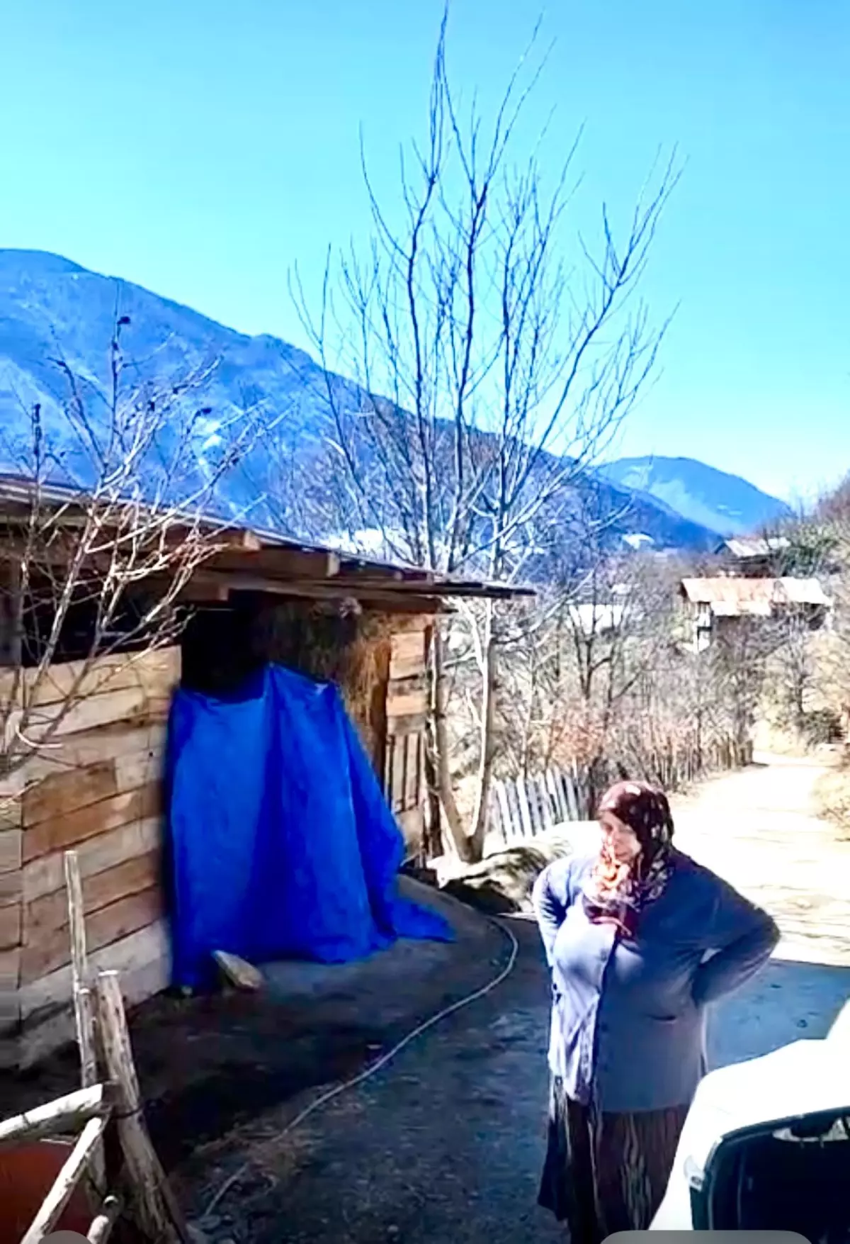 Kedi Elektrik Direğinden Kurtarıldı