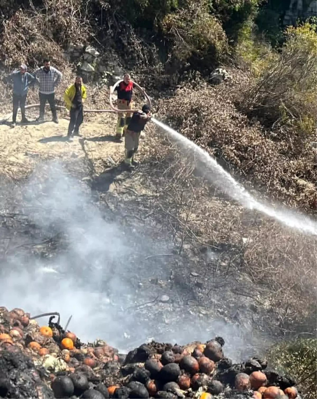 Samandağ\'da bahçede çıkan yangın büyümeden söndürüldü
