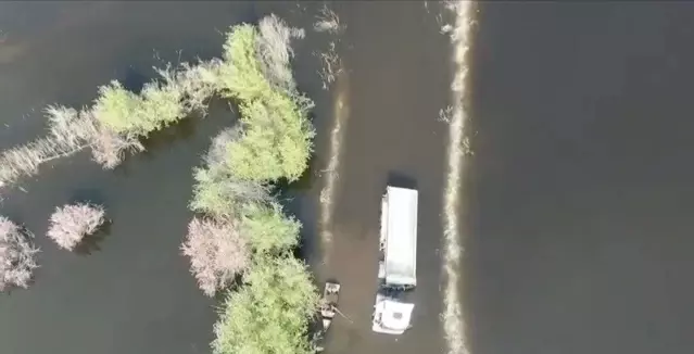 Söke’de TIR Şoförü Taşkın Sularından Kurtarıldı