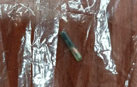 Belediye aşevinde skandal! Kavurmanın içinden yarış atı çipi çıktı