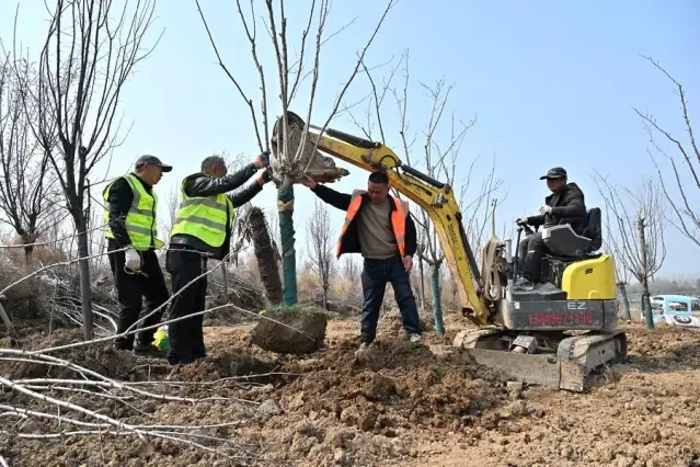 Çin’de Orman ve Çayır Alanı Artıyor