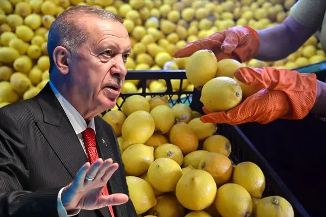 Fiyatı 100 lirayı aşmıştı, Erdoğan el attı! Limon ithalatında yeni karar